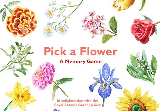 Pick a Flower - Product Thumbnail