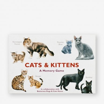 Cats & Kittens