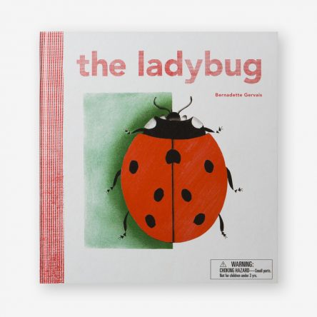 The Ladybug
