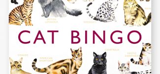 Cat Bingo Laurence King Publishing