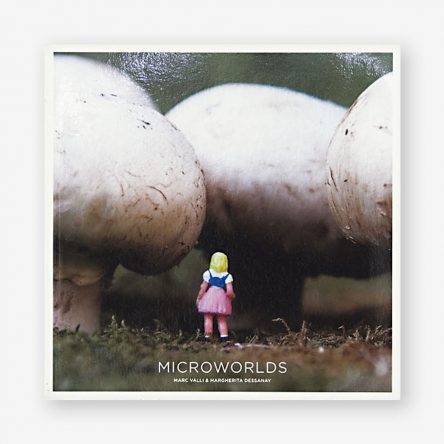 Microworlds