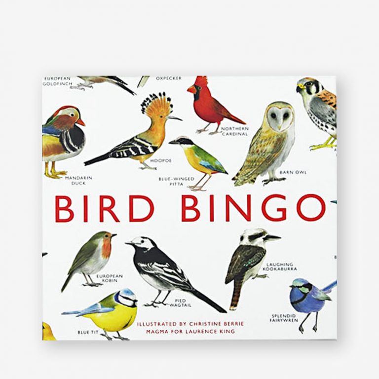Bird Bingo