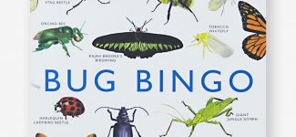 Bug Bingo Laurence King Publishing