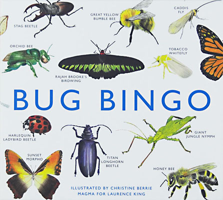 Bug Bingo - Product Thumbnail