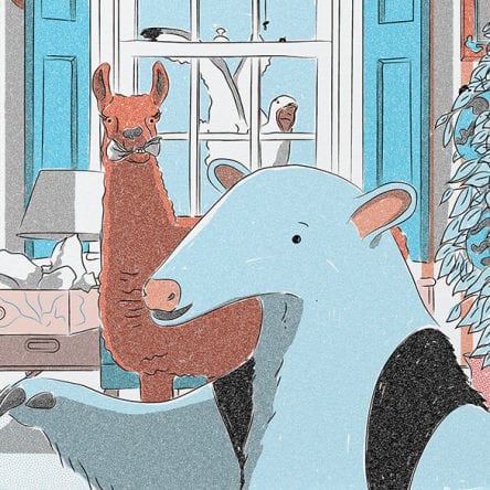 Helen and Ian Friel - Blog Image