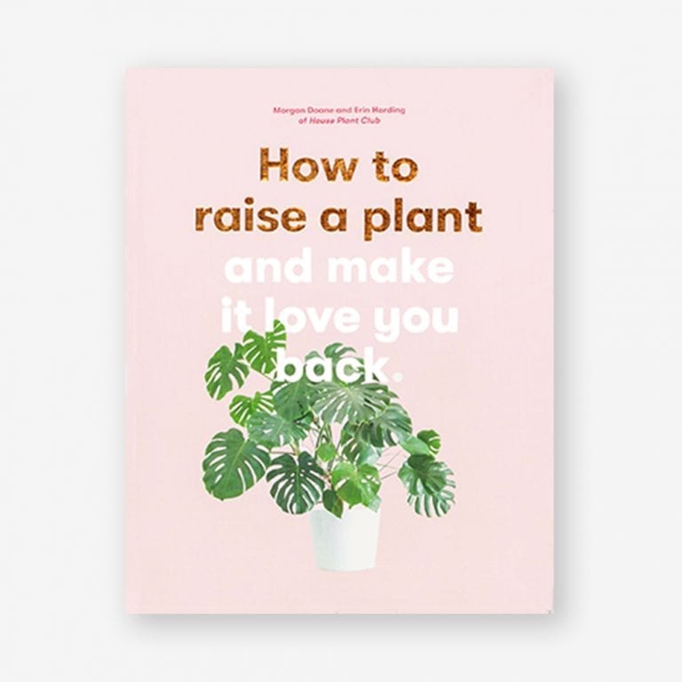 How to Raise a Plant