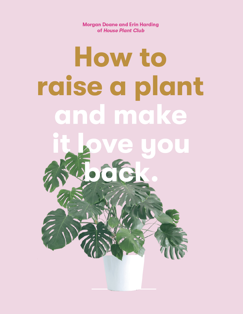 How to Raise a Plant - Product Thumbnail