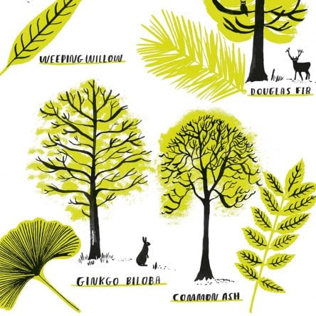 Activity Time: Summer! - Blog Image