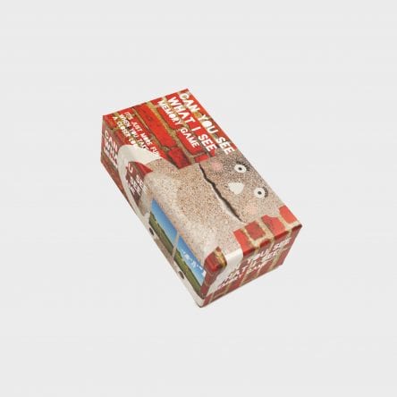 Can You See What I See Memory Game