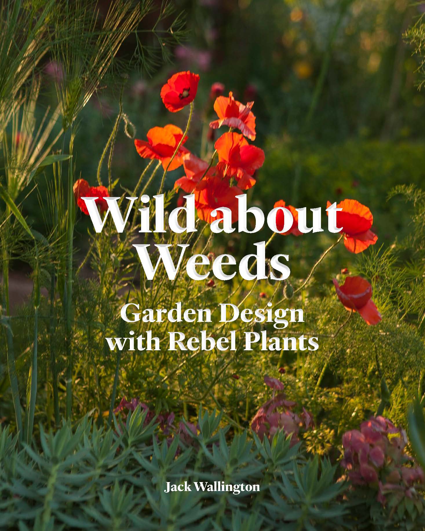 Wild About Weeds - Product Thumbnail