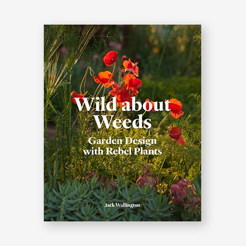 Wild About Weeds
