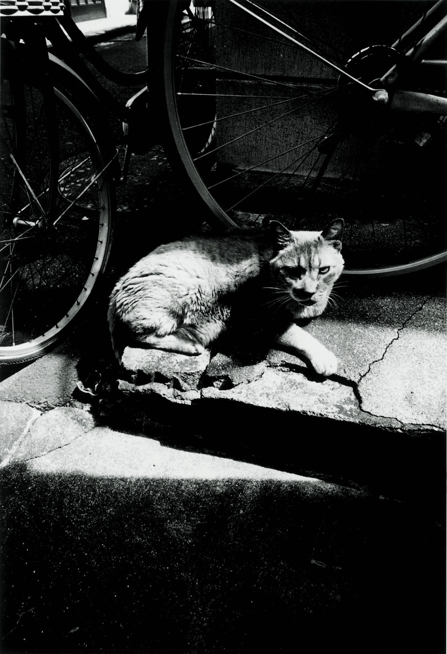 Daido Moriyama How I Take Photographs Laurence King