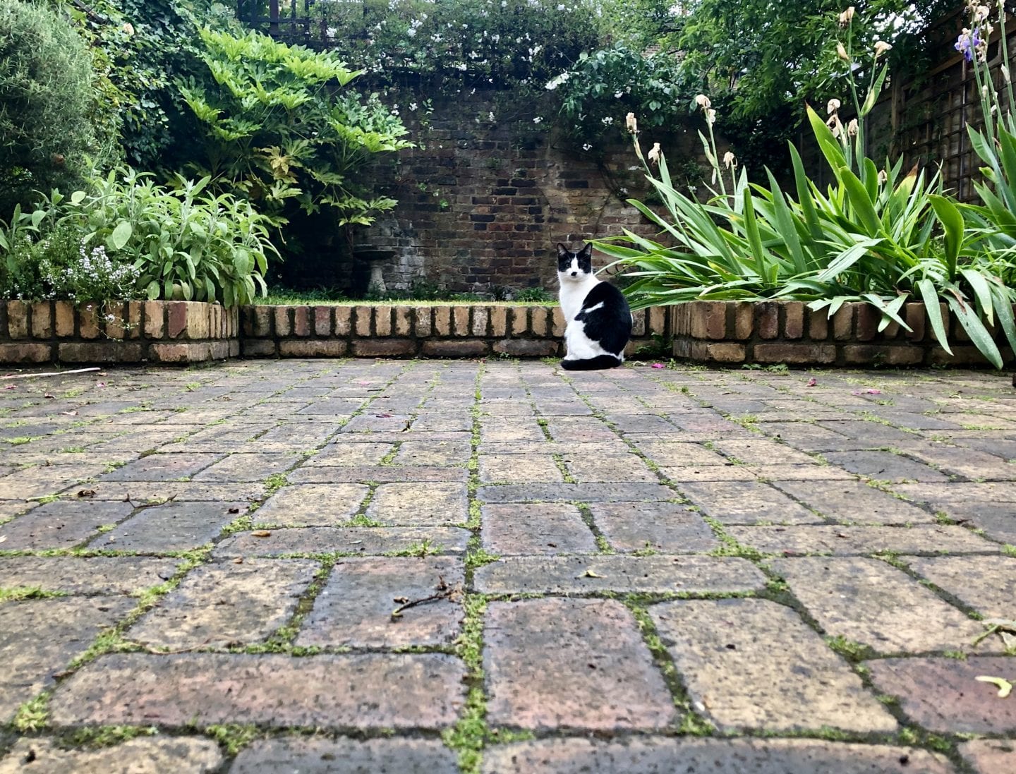 Be A Super Awesome Photographer winner