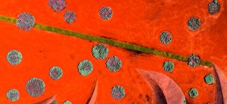 From Above: The Story of Aerial Photography