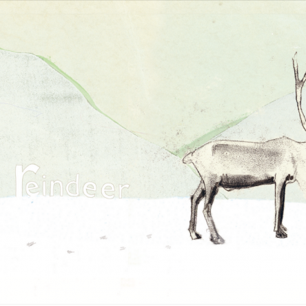 Christmas Giveaway for Schools - Blog Image