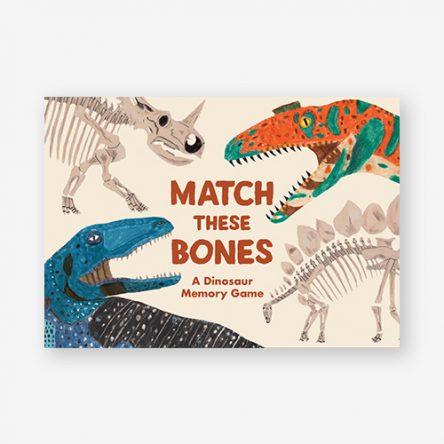 Match these Bones