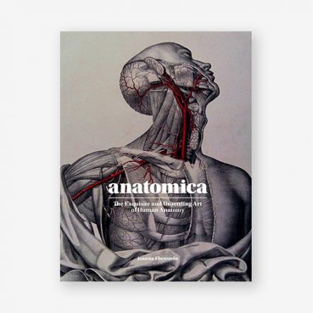 Anatomica