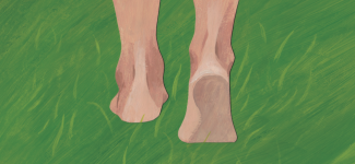 Ways of Tuning Your Senses Shuku Nishi