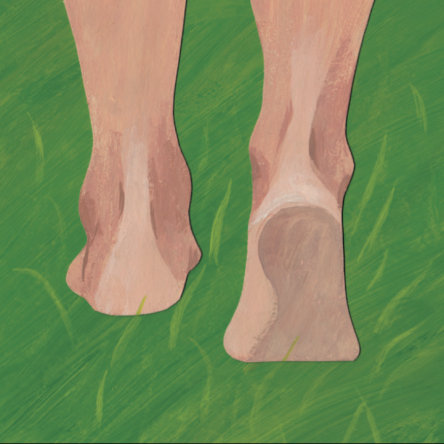 A Fresh Start - Blog Image