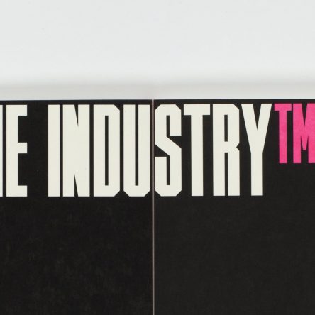 Career Tips for Graduates - Blog Image