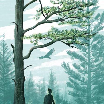 100 Things to Do in a Forest - Blog Image