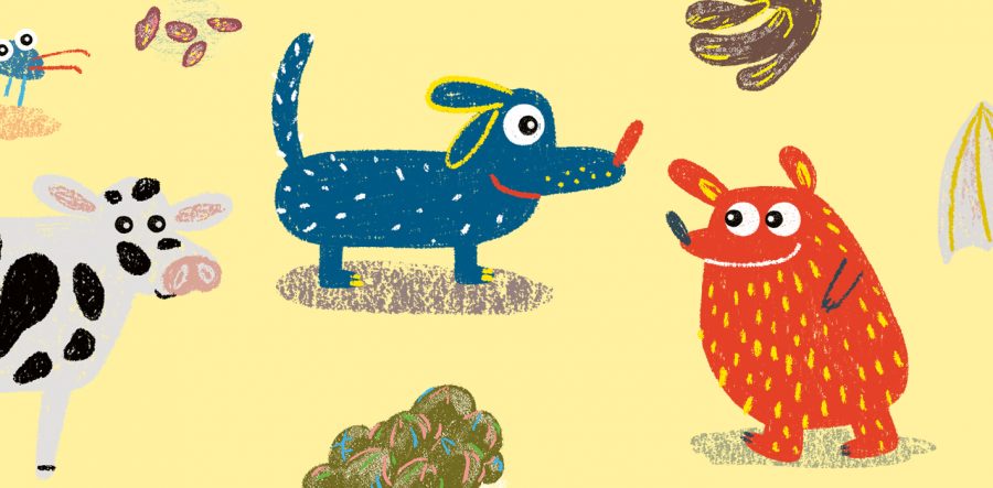 Q&A with Claudia Boldt - Blog Image