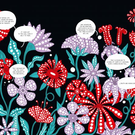 Q&A with illustrator Elisa Macellari - Blog Image