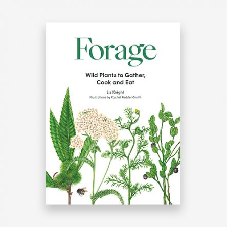 Forage