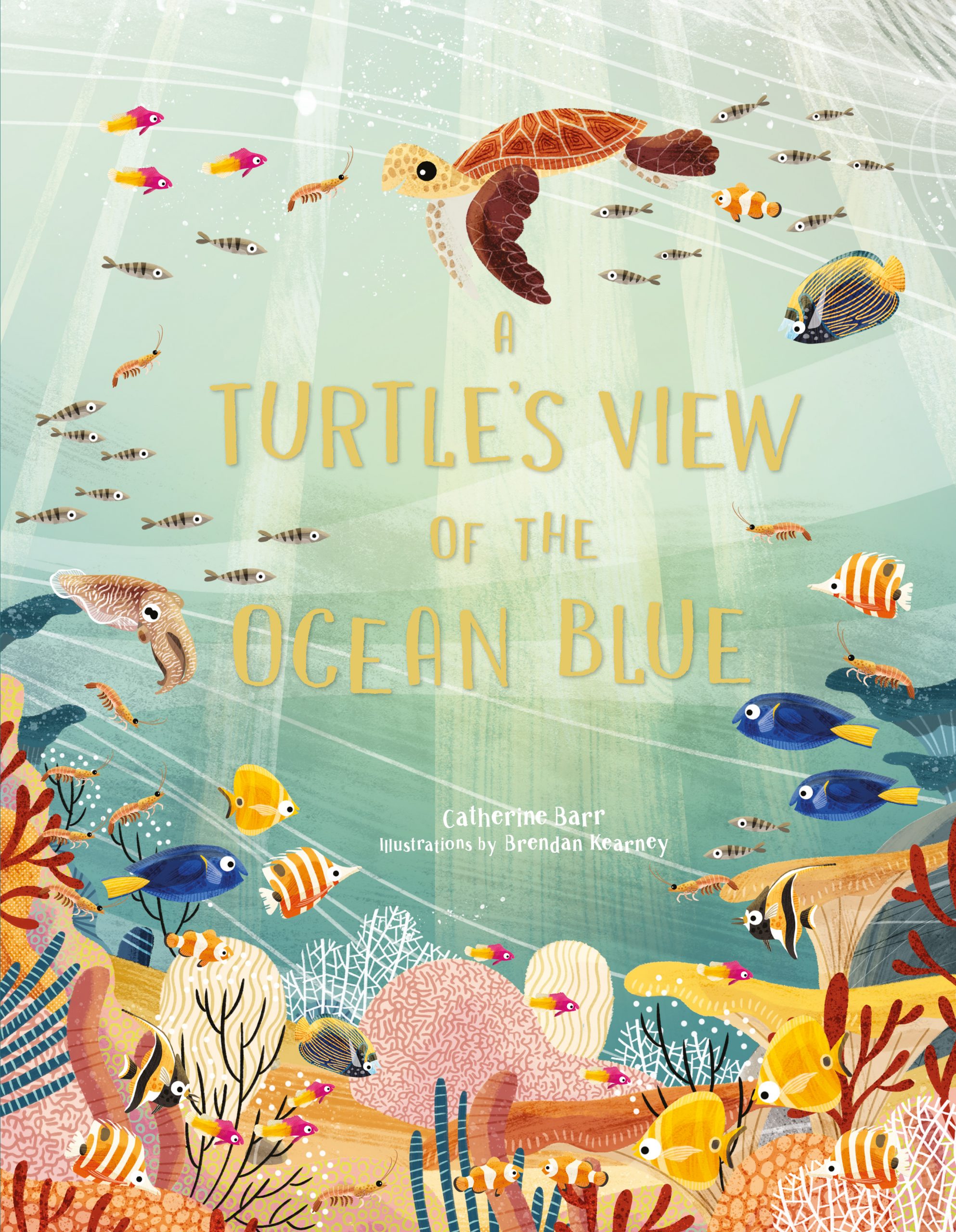 A Turtle’s View of the Ocean Blue - Product Thumbnail