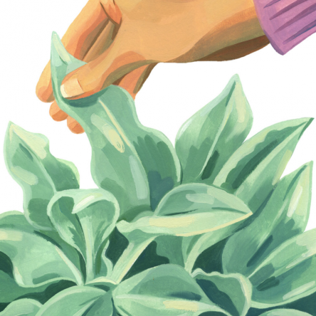 Plantfulness ASMR with artist Julie Rose Bower - Blog Image