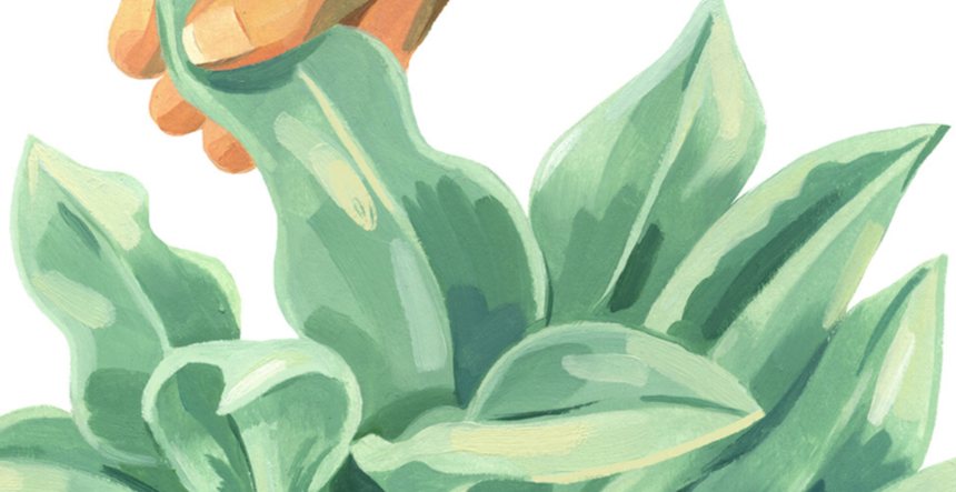 Plantfulness ASMR with artist Julie Rose Bower - Blog Image