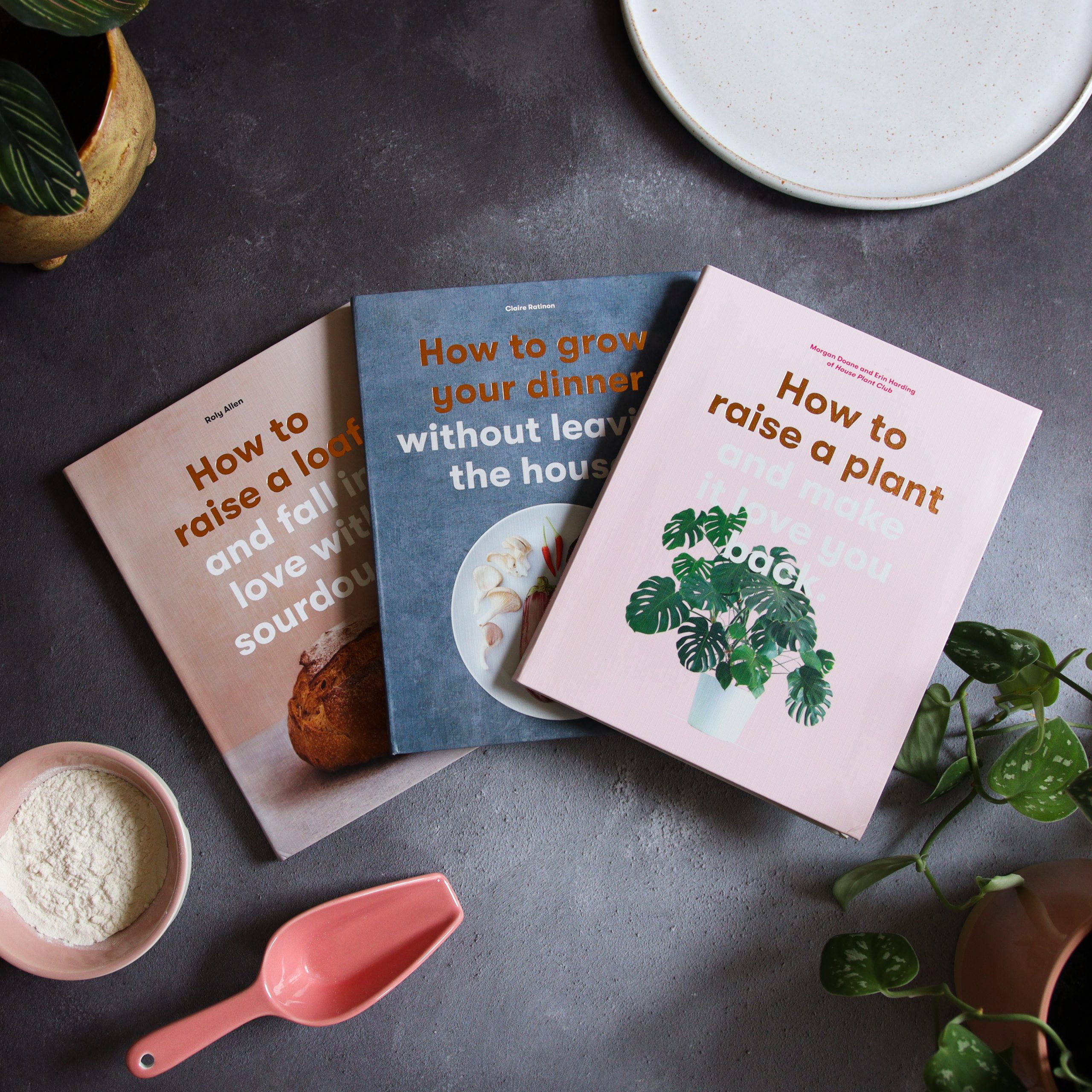 How to Raise a Plant