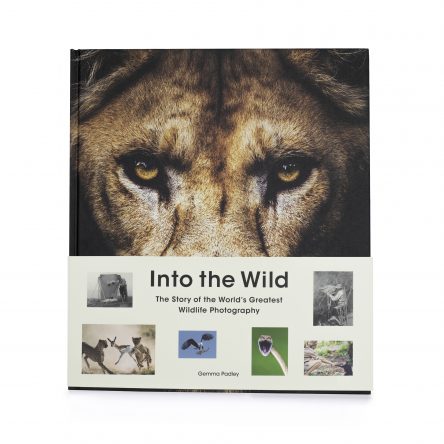 Into the Wild