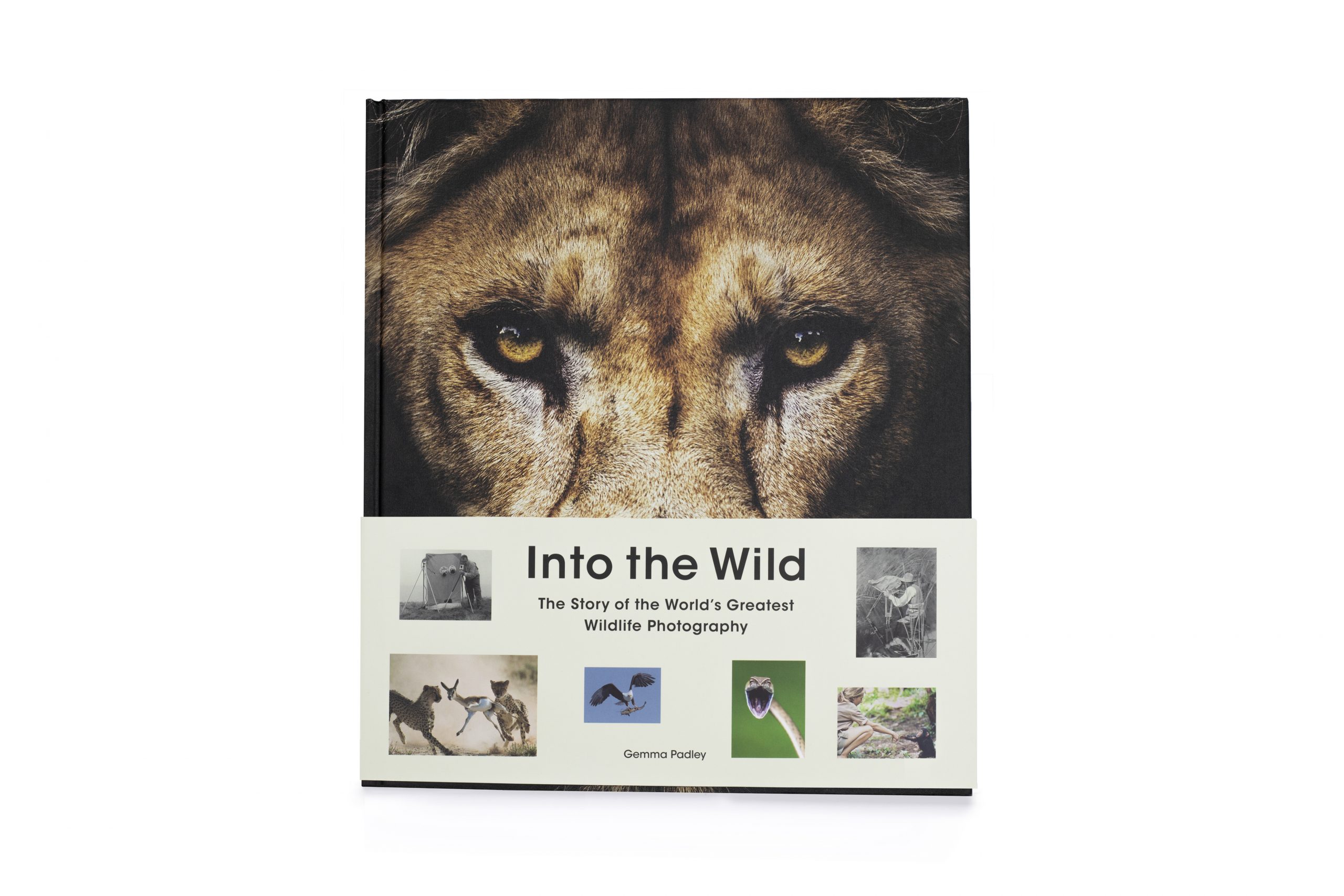 Into the Wild - Product Thumbnail