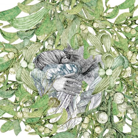 Around the World in Christmas Plants - Blog Image