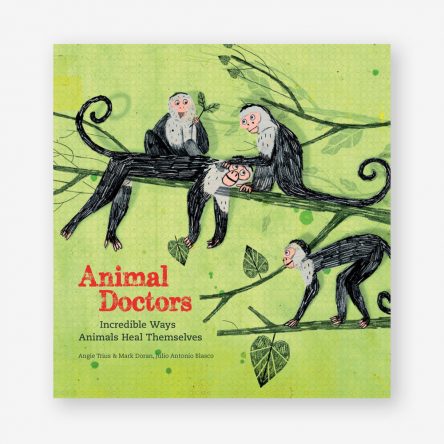 Animal Doctor