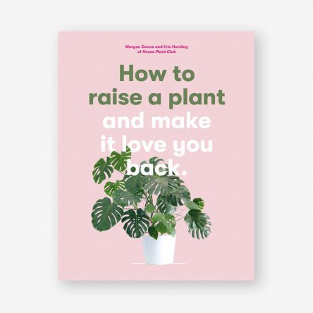 How to Raise a Plant