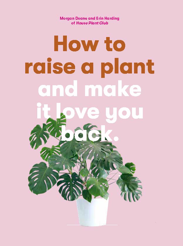 How to Raise a Plant - Product Thumbnail