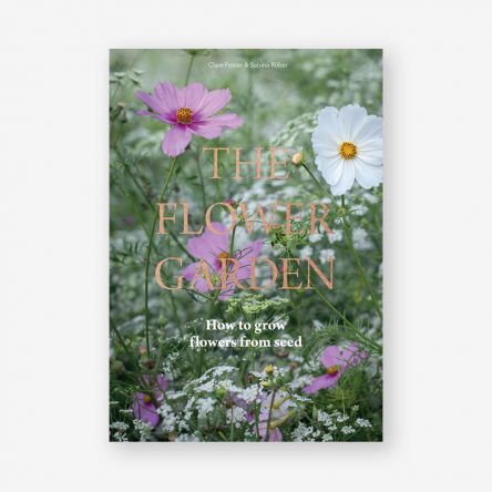 The Flower Garden