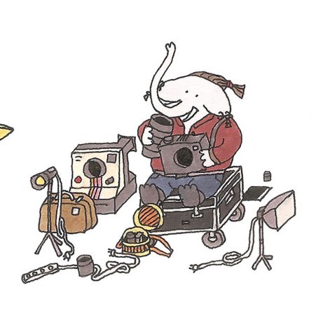 Join the Elephants on Tour! - Blog Image