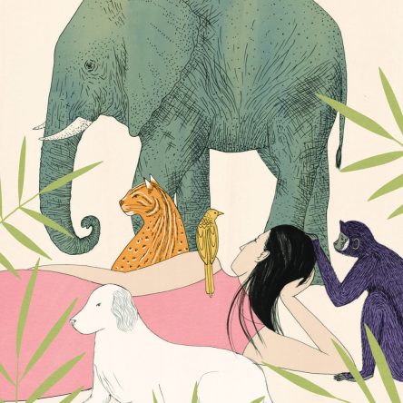 Dreams from Dream Decoder illustrated by Harriet Lee-Merrion