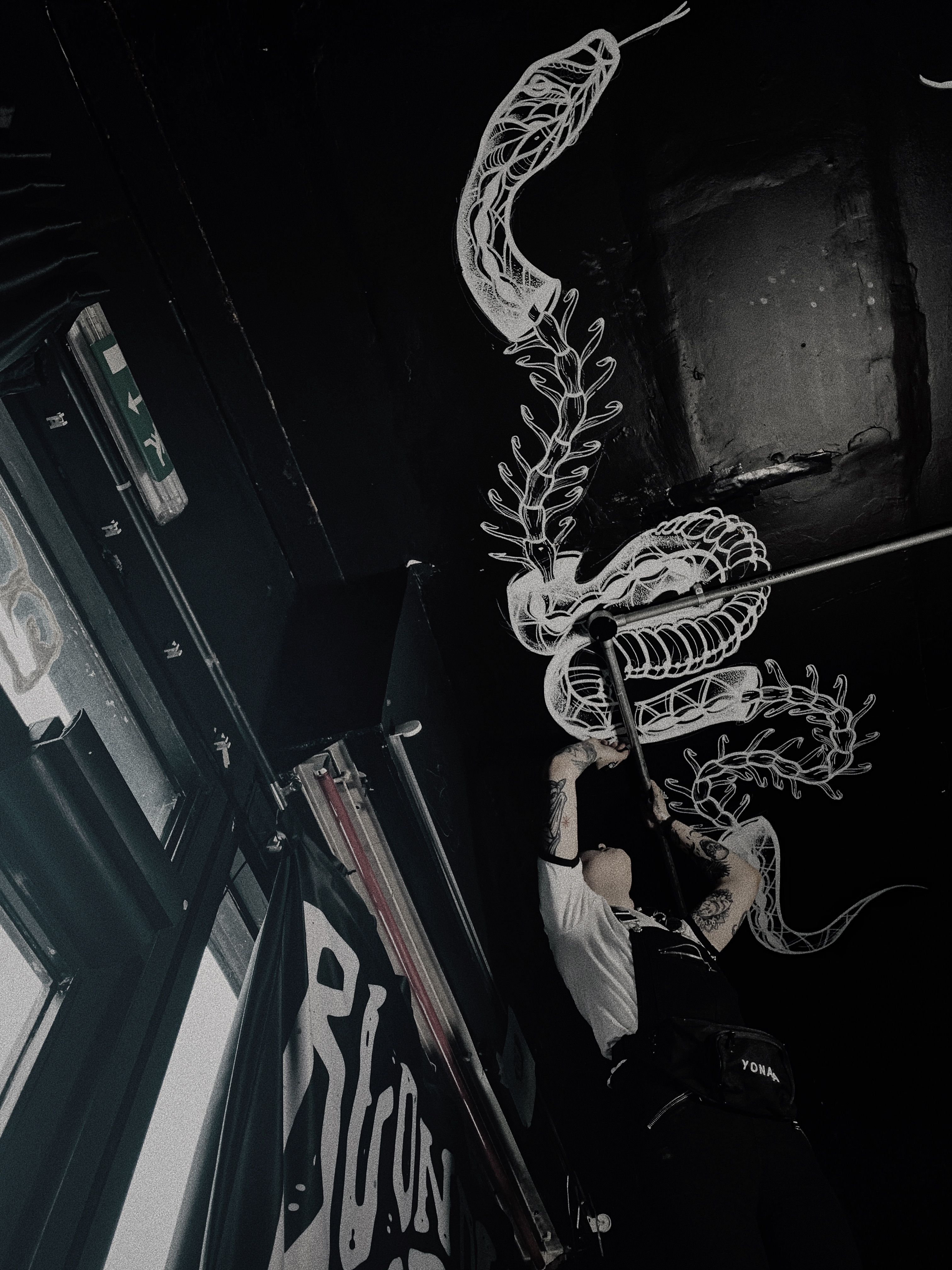 Sophie Mo Illustrations