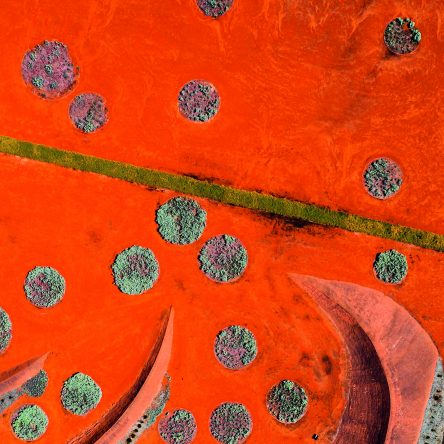 From Above - Blog Image
