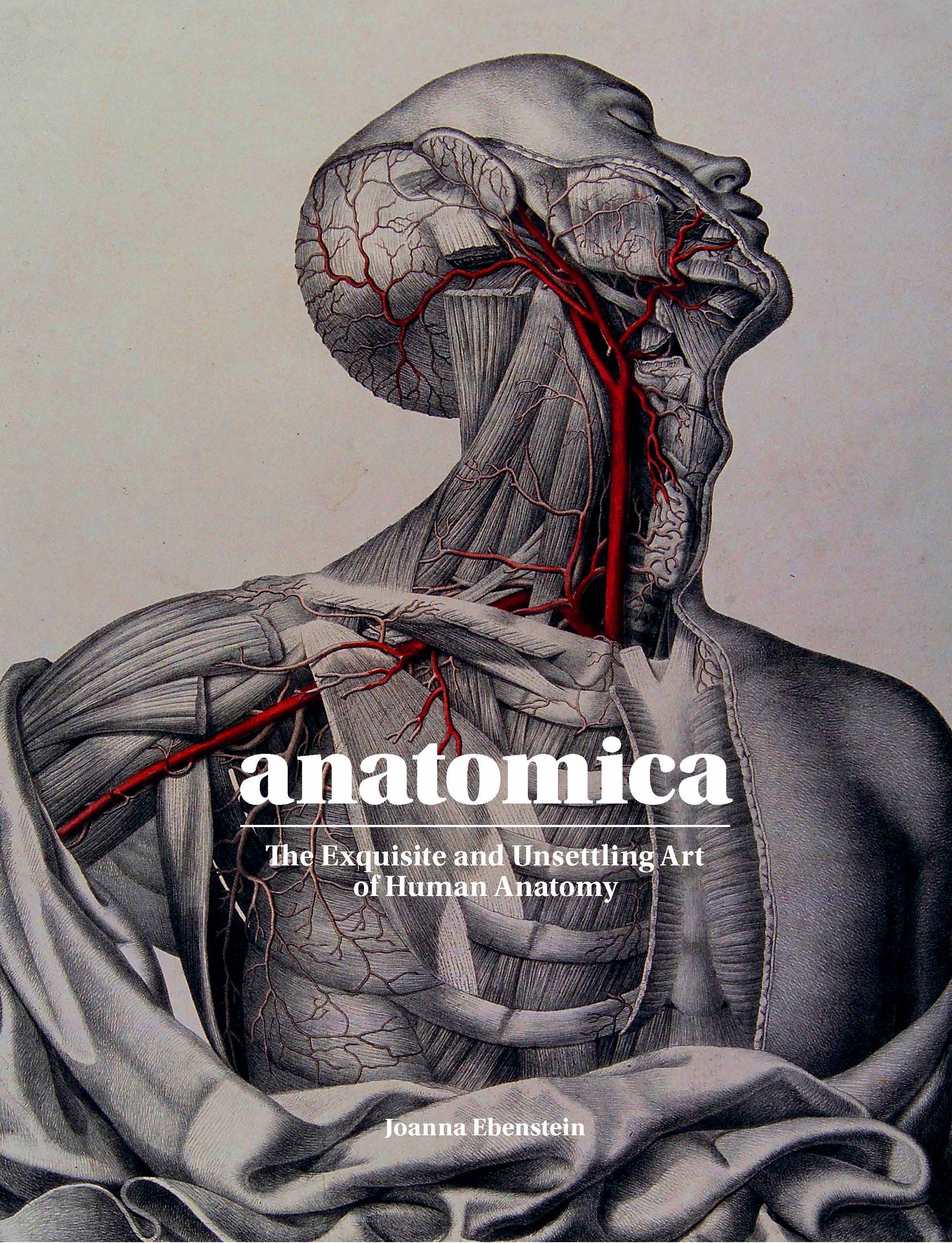 Anatomica - Product Thumbnail