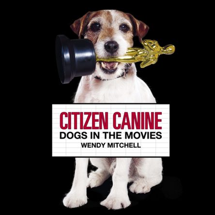 10 Dog Films for the Whole Family - Blog Image