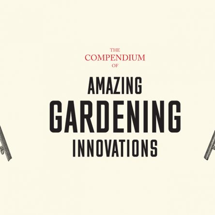 Historical Innovations That Shape Our Gardens - Blog Image