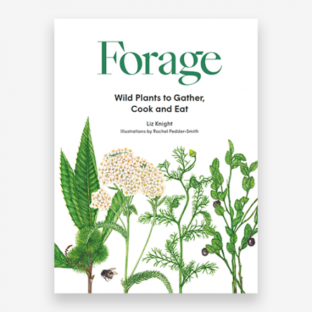 Forage
