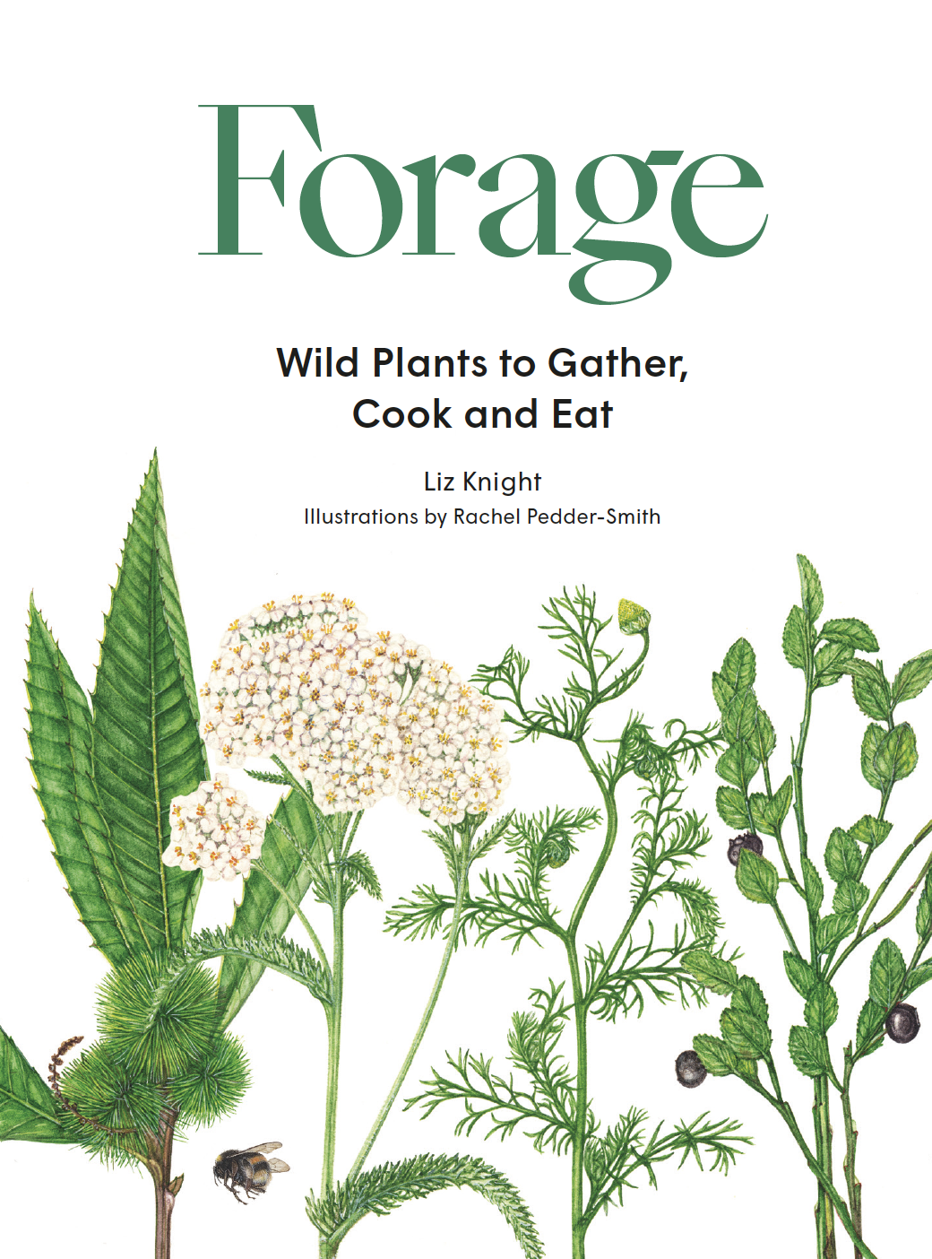 Forage - Product Thumbnail