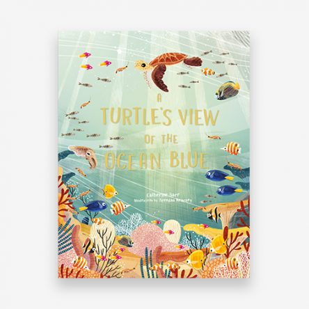 A Turtle’s View of the Ocean Blue