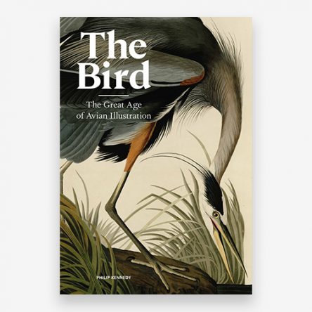 The Bird